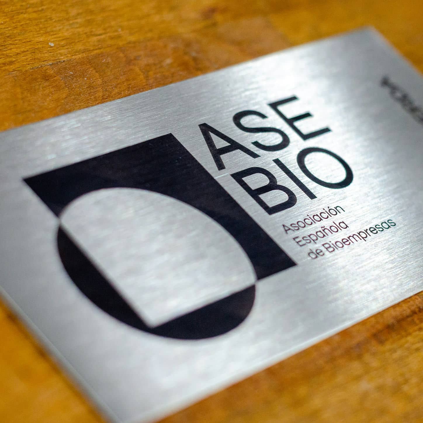 Marcado de placa de acero para ASE BIO, trabajo de IDEÁTICA